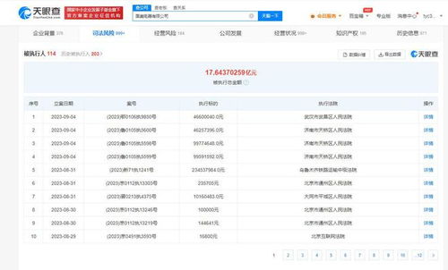 國美電器新增多條被執行人信息，被執行總金額超17億元